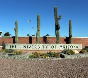 Increase in Sexual Assaults at the University of Arizona in 2019 