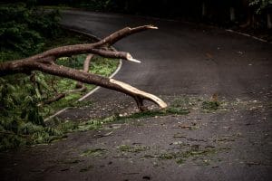 The Dangers of Road Debris Accidents